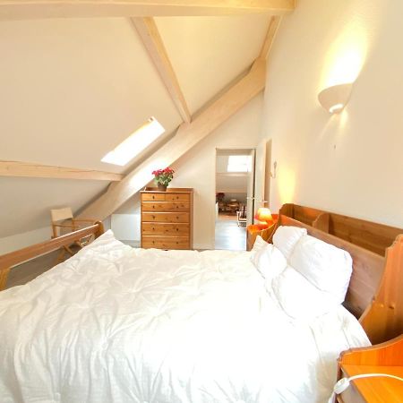 Place De La Mairie T2 Type Loft 70M2 Terrasse 35M2 Cauterets Luaran gambar